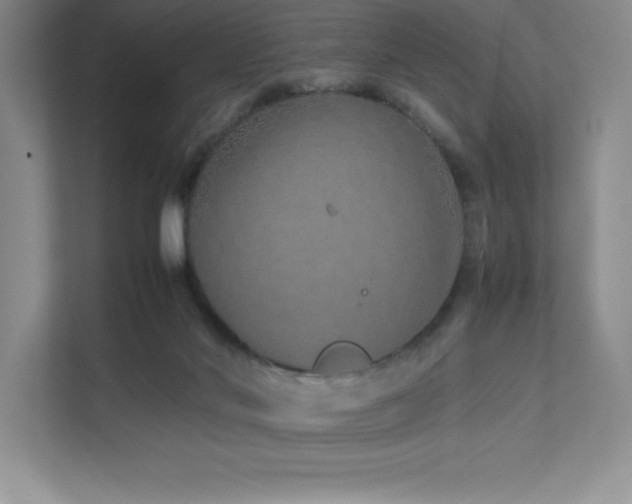 X0000111680022200907171643