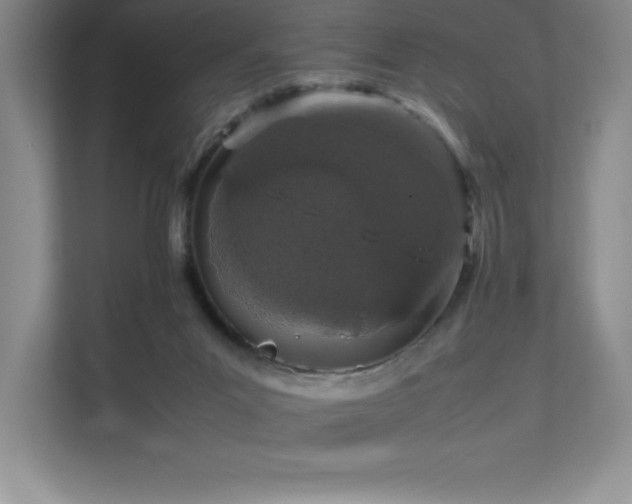 X0000111680023200907171643