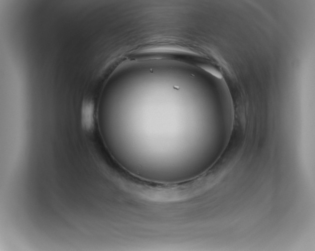 X0000111680024200907171643