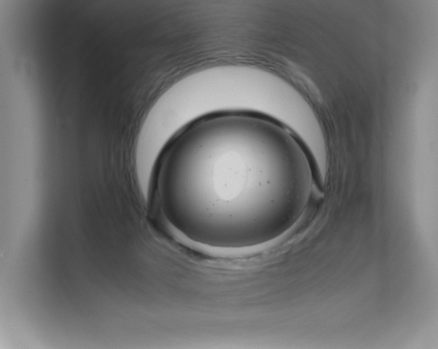 X0000111680025200907171643