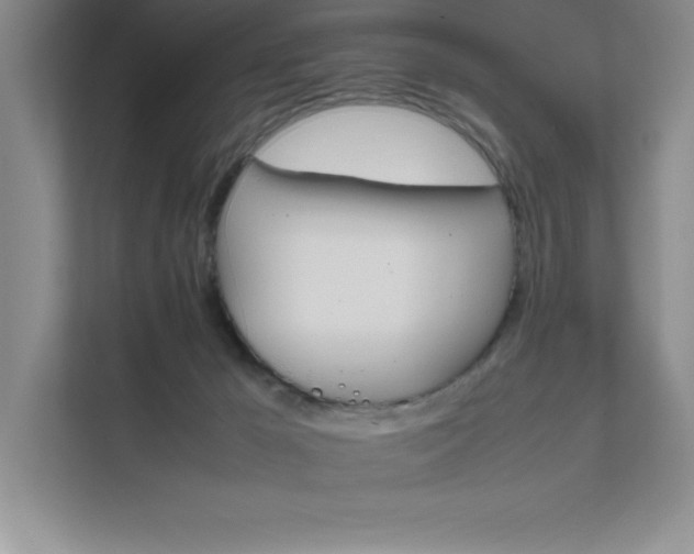 X0000111680029200907171643