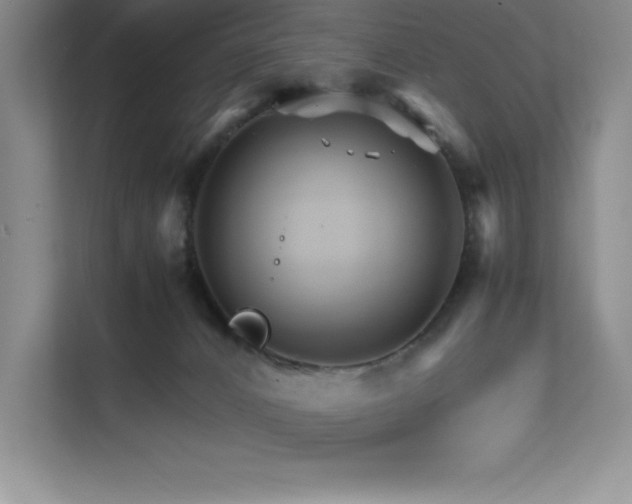 X0000111680032200907171643