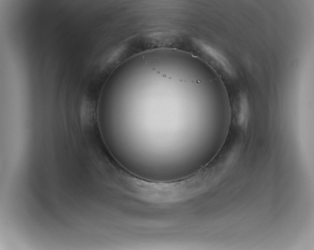 X0000111680034200907171643