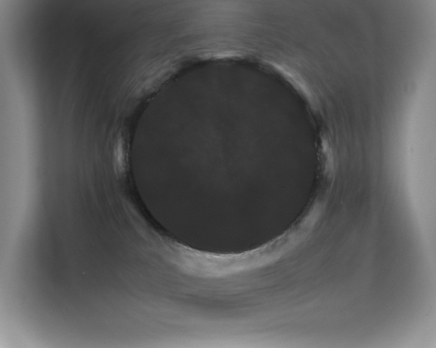 X0000111680039200907171642