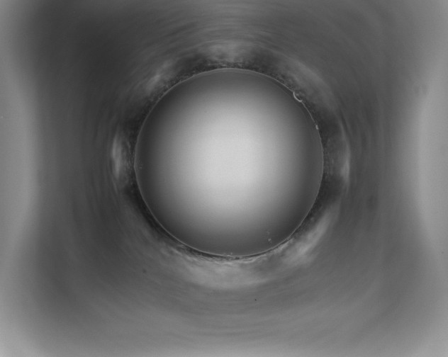 X0000111680040200907171642