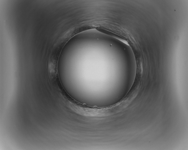 X0000111680044200907171642