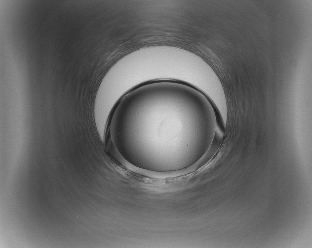 X0000111680045200907171642