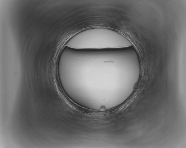 X0000111680049200907171642