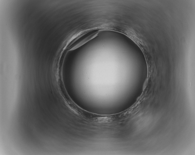 X0000111680050200907171642