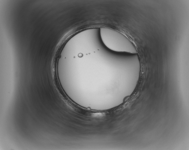 X0000111680053200907171642