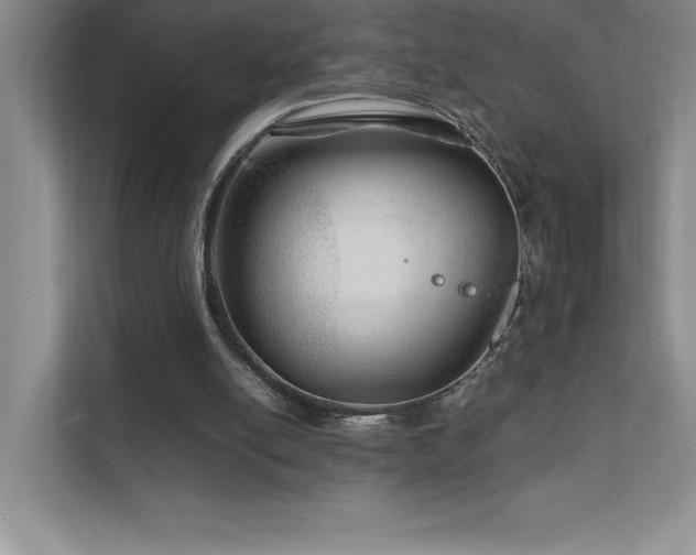 X0000111680054200907171642