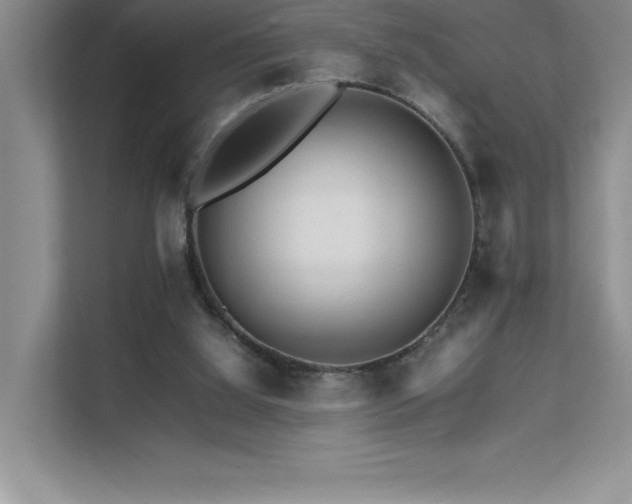 X0000111680060200907171642