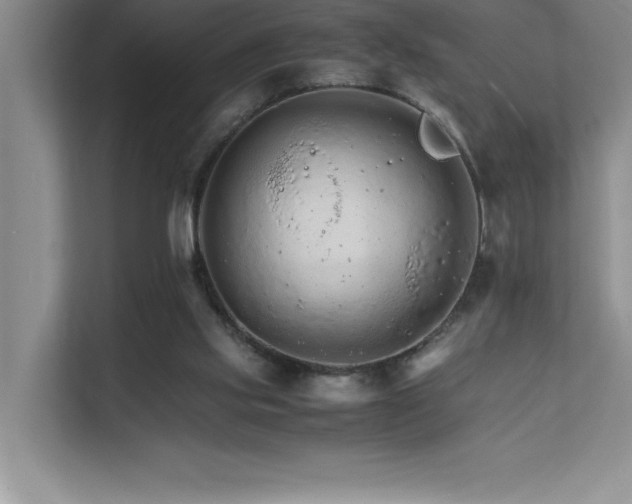 X0000111680061200907171642