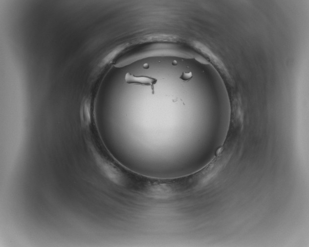 X0000111680062200907171642