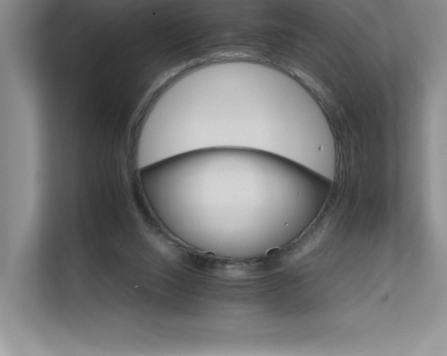 X0000111680064200907171642