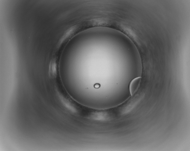 X0000111680067200907171642