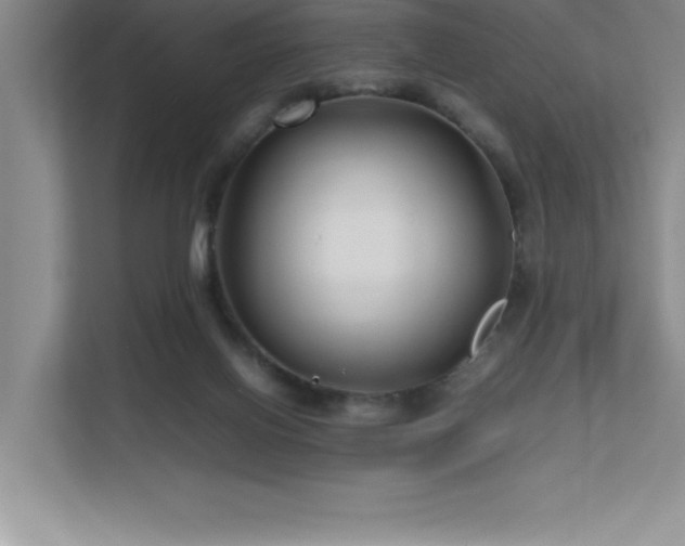 X0000111680070200907171642