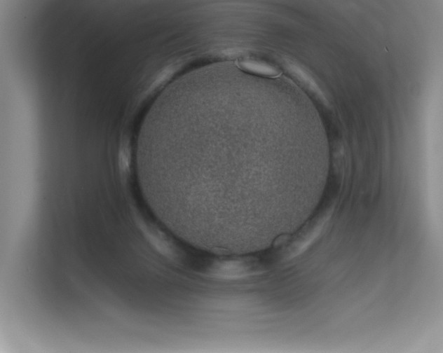 X0000111680072200907171642