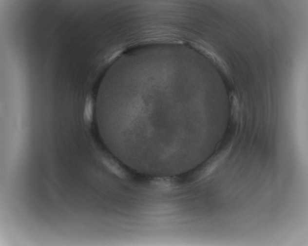 X0000111680076200907171642