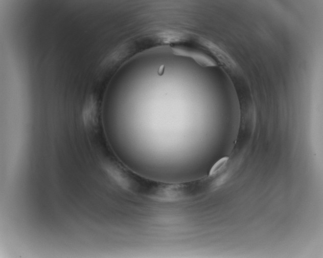 X0000111680078200907171642