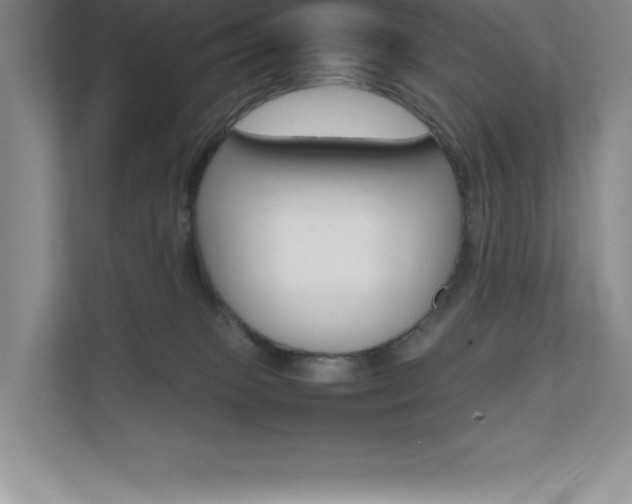 X0000111680085200907171642