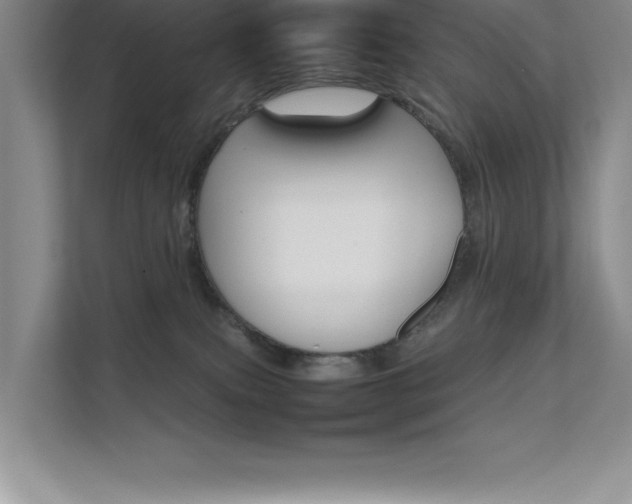 X0000111680087200907171642