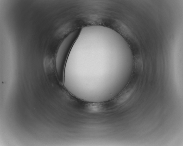 X0000111680088200907171642