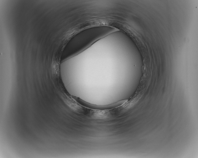 X0000111680096200907171642