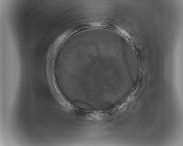 X0000111680097200907171642