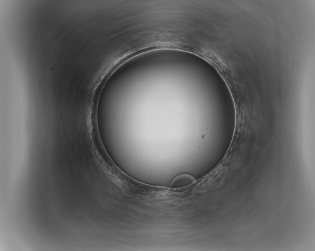 X0000111680098200907171642