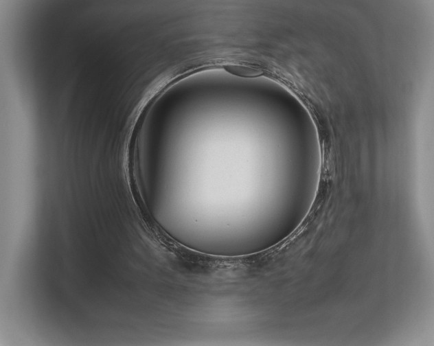 X0000111680099200907171642