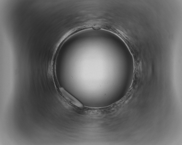 X0000111680100200907171642