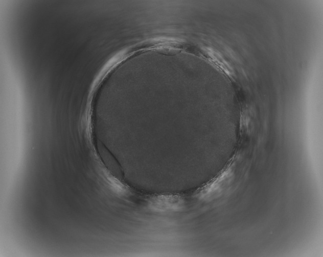 X0000111680101200907171642