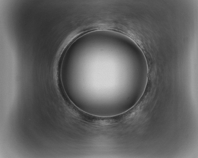 X0000111680103200907171642