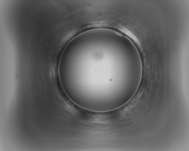 X0000111680105200907171642