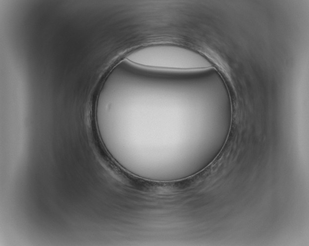 X0000111680107200907171642