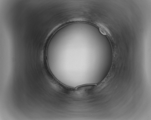 X0000111680108200907171642