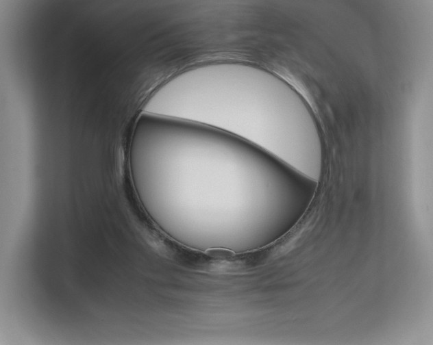 X0000111680109200907171642