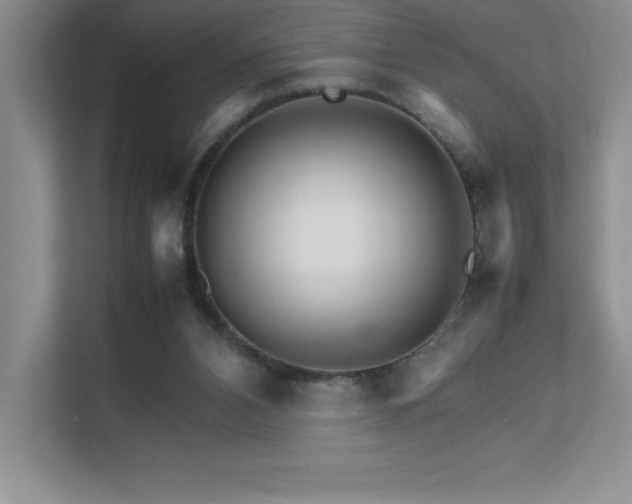 X0000111680112200907171642