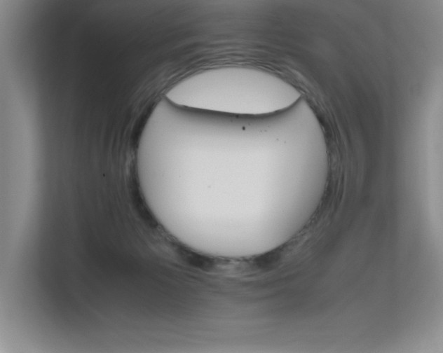 X0000111680125200907171641