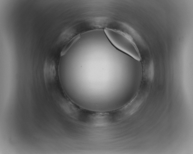 X0000111680128200907171641