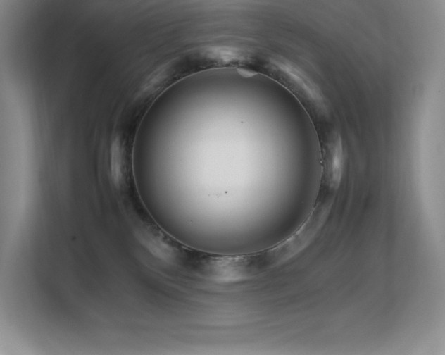 X0000111680136200907171641