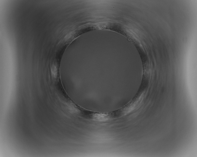 X0000111680139200907171641