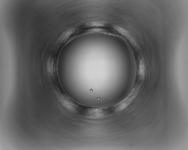 X0000111680140200907171641