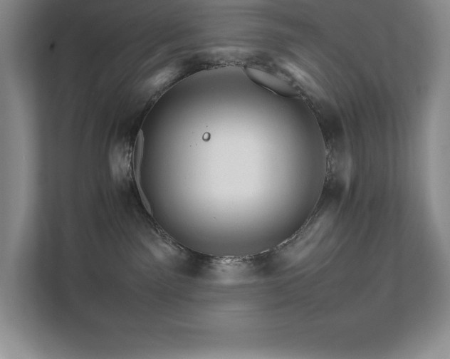 X0000111680141200907171641