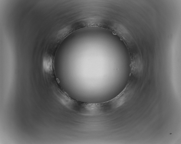 X0000111680142200907171641