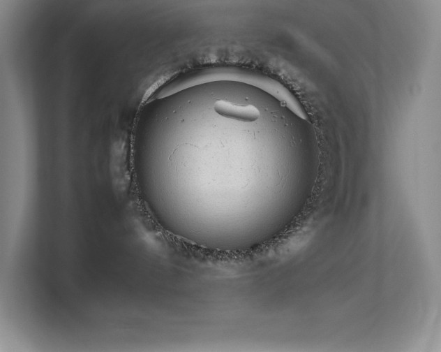 X0000111680144200907171641