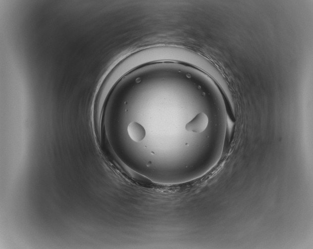 X0000111680148200907171641