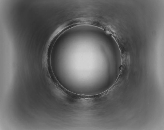 X0000111680150200907171641