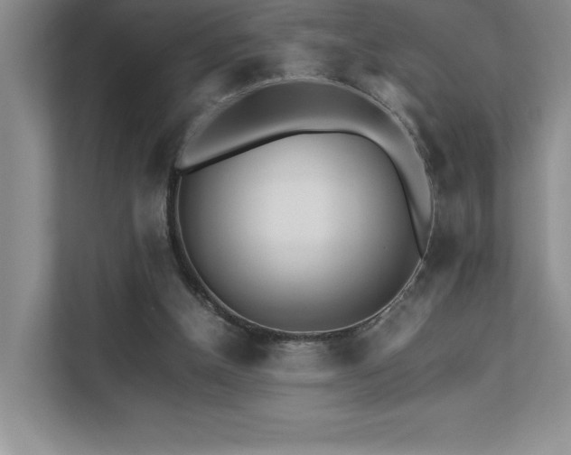 X0000111680154200907171641